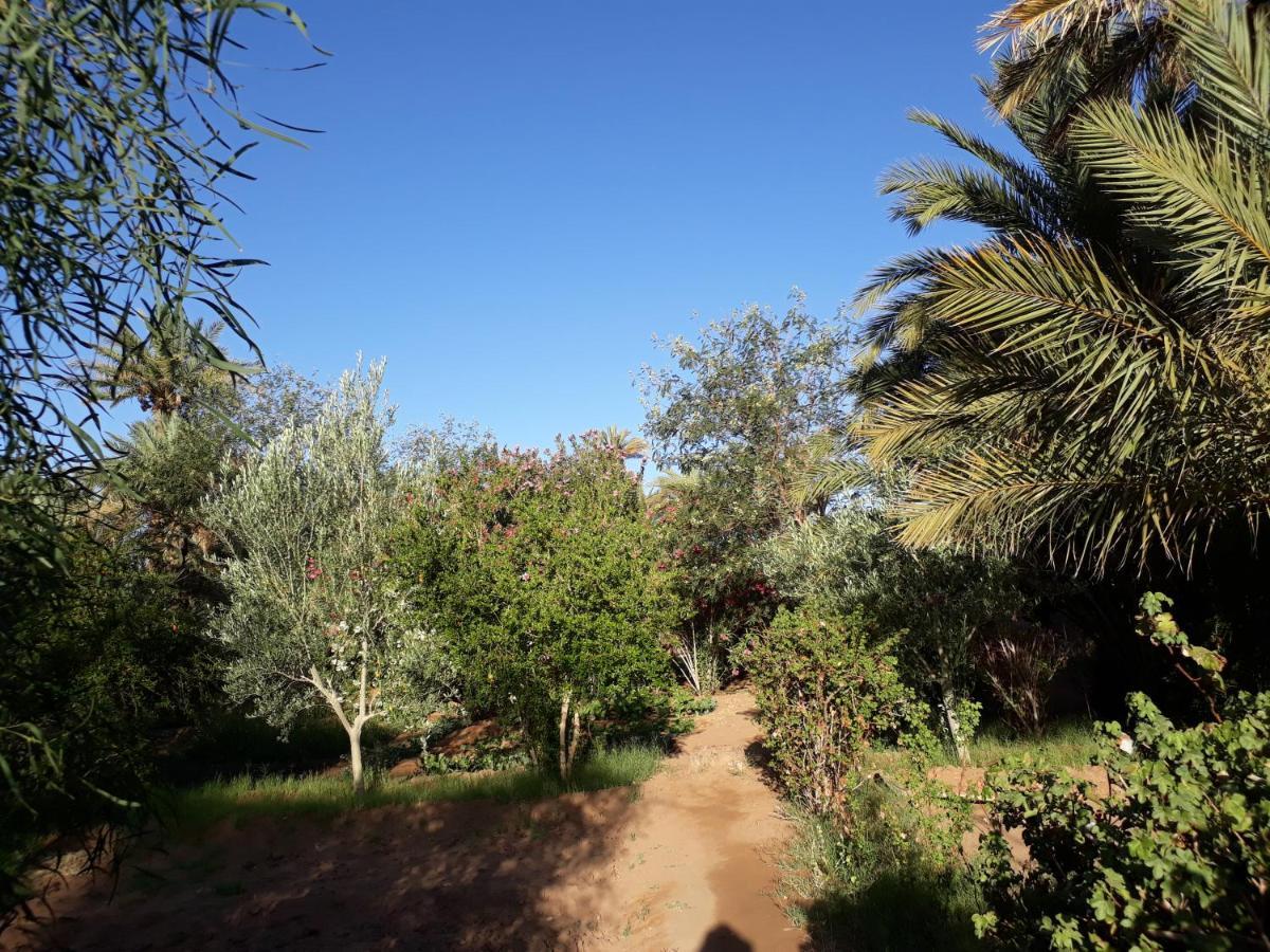 Dar Paru Bed & Breakfast M'Hamid Dış mekan fotoğraf