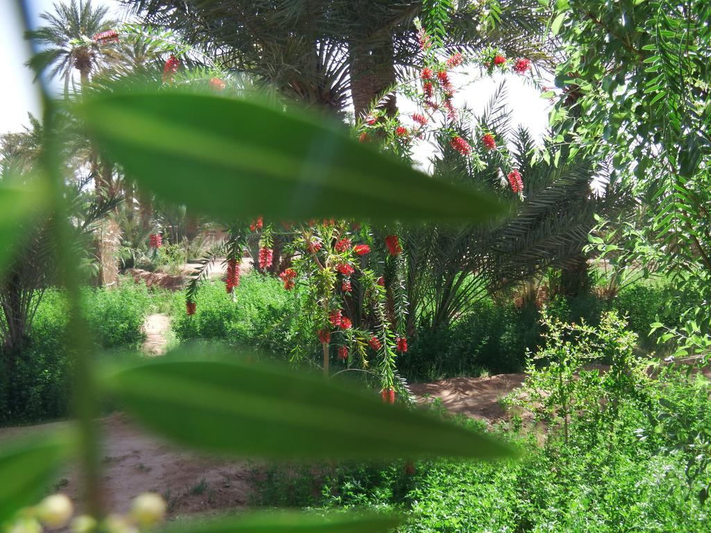 Dar Paru Bed & Breakfast M'Hamid Dış mekan fotoğraf
