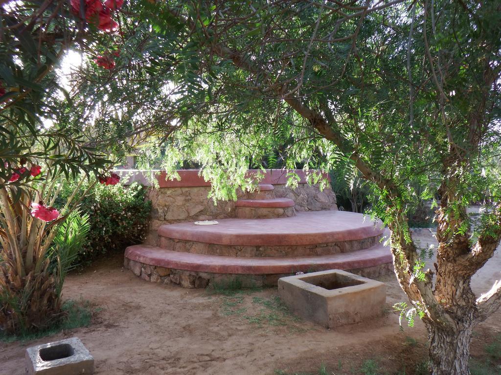 Dar Paru Bed & Breakfast M'Hamid Dış mekan fotoğraf